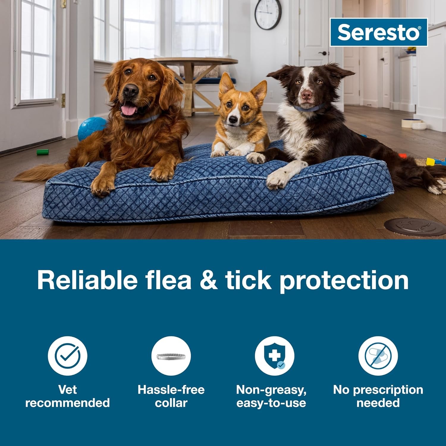 Seresto Small Dog Vet-Recommended Flea & Tick Treatment & Prevention Collar for Dogs under 18 Lbs | 8 Months Protection