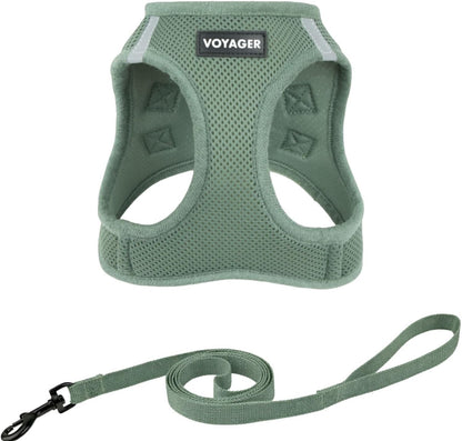 Voyager Step-In Air Cat Harness & Leash Set - Moss Green, Xx-Small | 12 - 13.5" in Chest, Reflective Bands, All Weather Breathable Air Mesh, Cats Compatible, Fast Drying