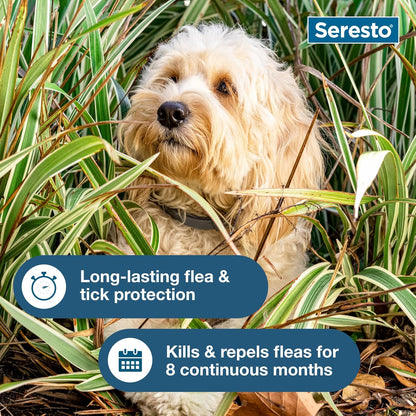 Seresto Small Dog Vet-Recommended Flea & Tick Treatment & Prevention Collar for Dogs under 18 Lbs | 8 Months Protection